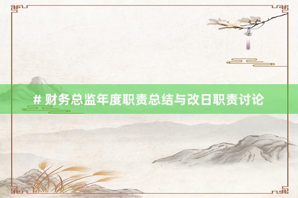 # 财务总监年度职责总结与改日职责讨论