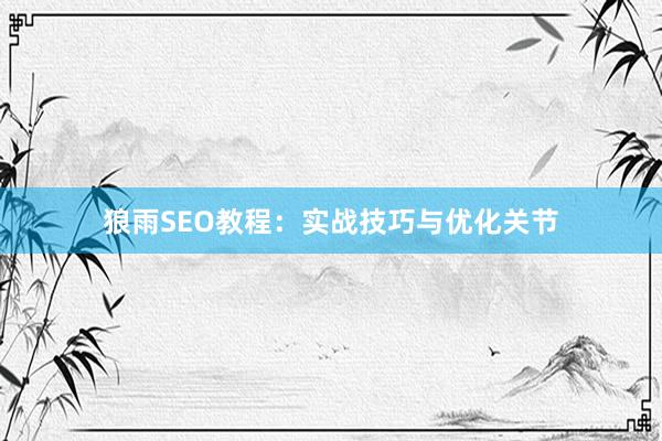 狼雨SEO教程：实战技巧与优化关节