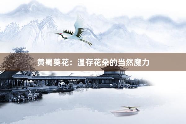 黄蜀葵花：温存花朵的当然魔力